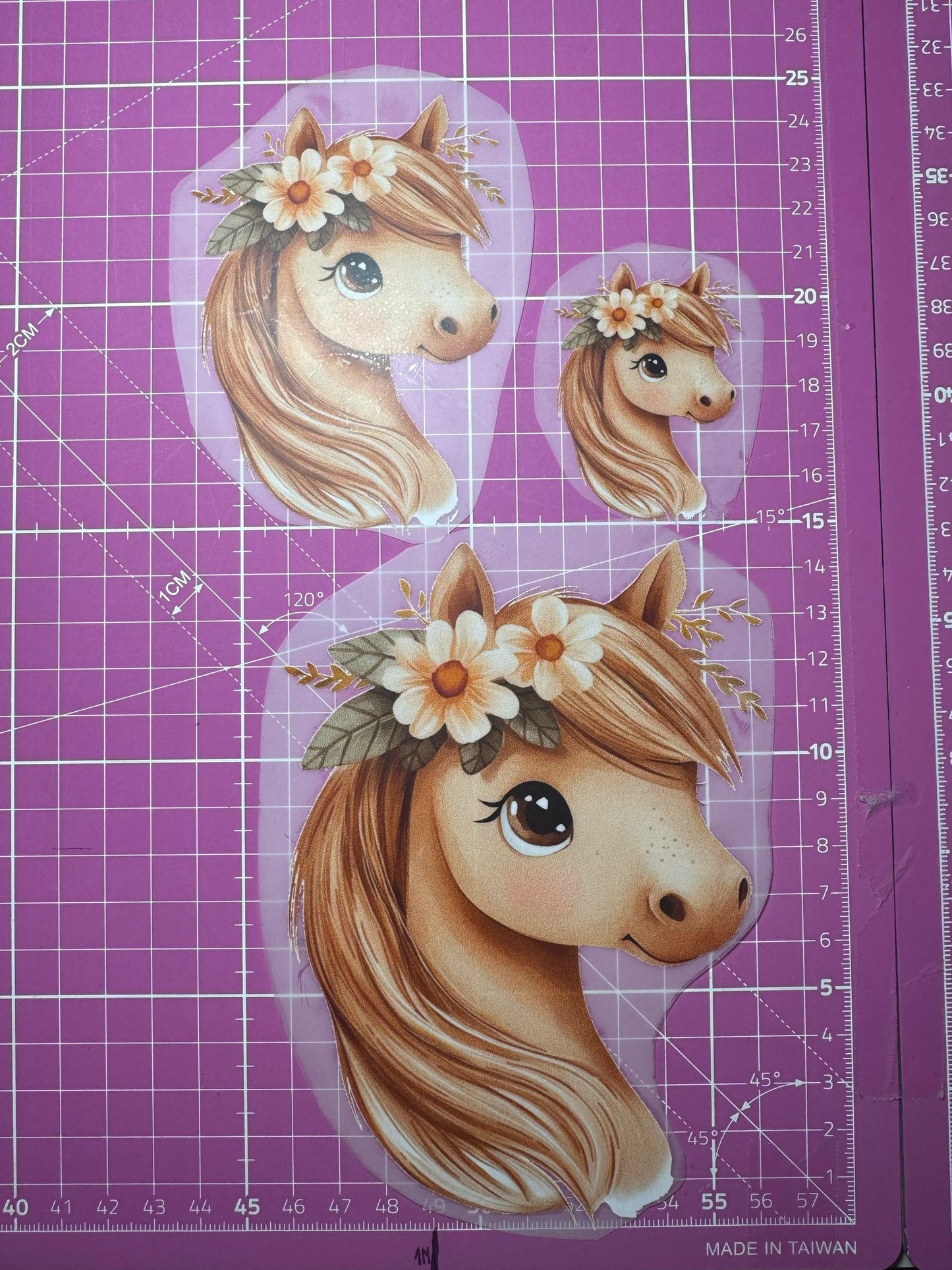 Huella de vaca