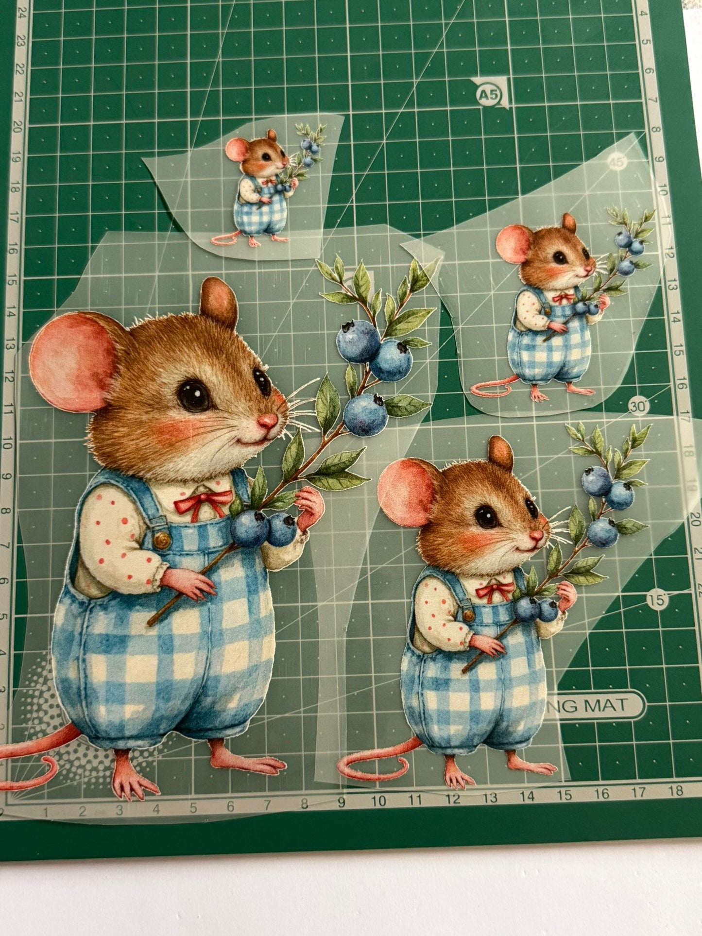 Estampas | Ratinho e Mirtilos