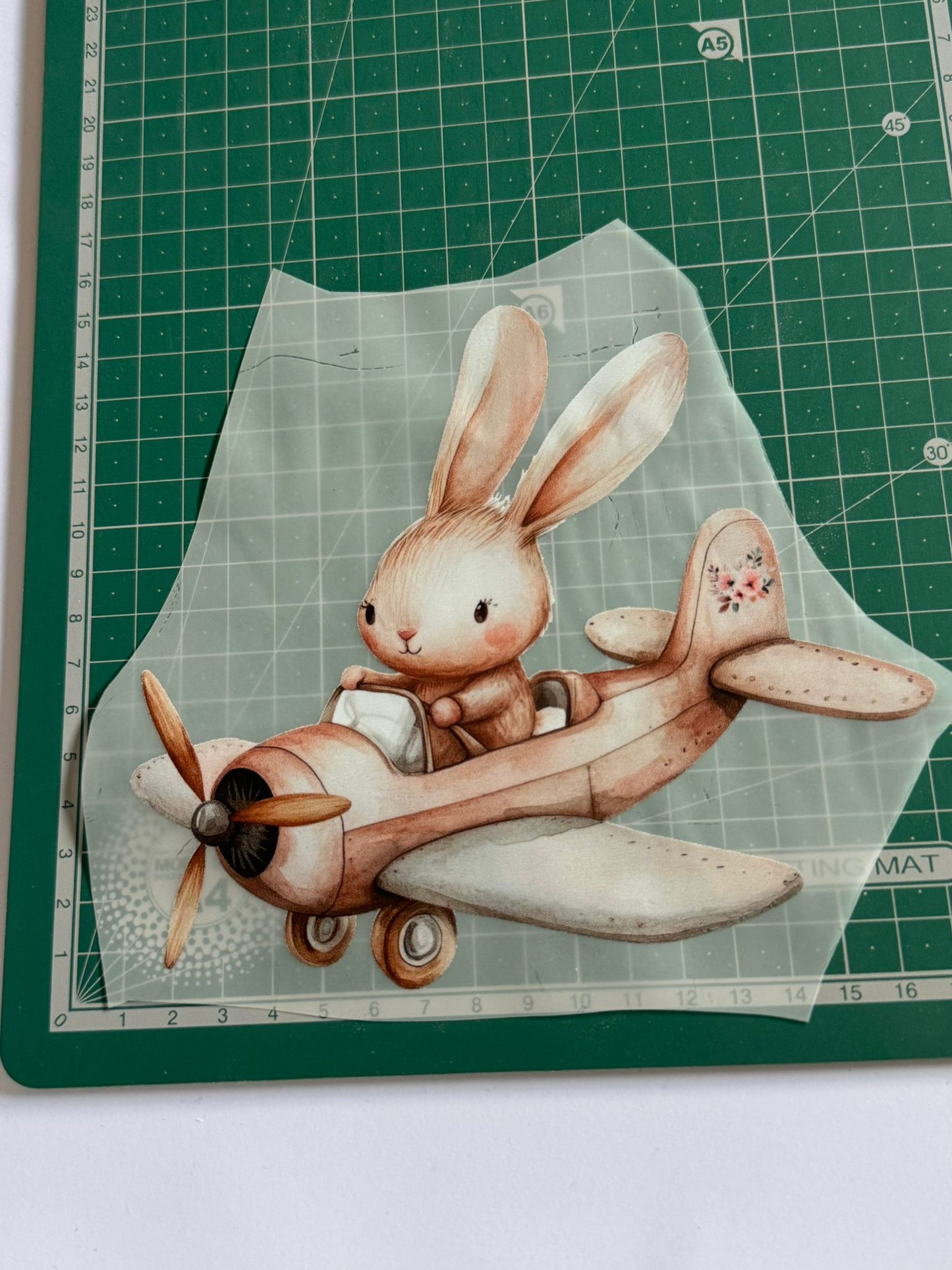 Estampas | Coelho Aviador