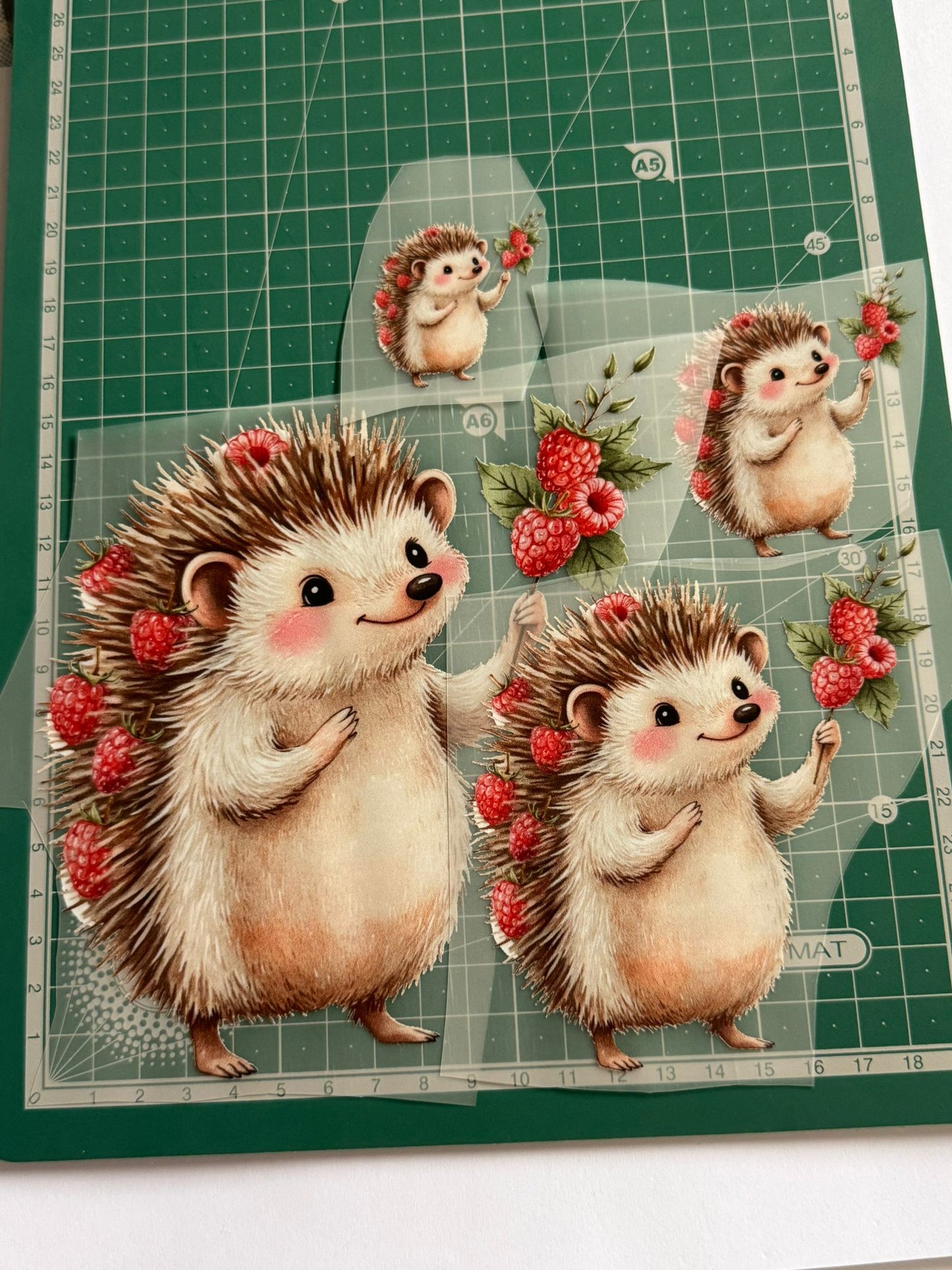 Estampas | Ouriço Cacheiro e Framboesas